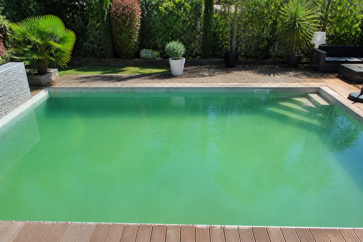 pourquoi l'eau de ma piscine est verte